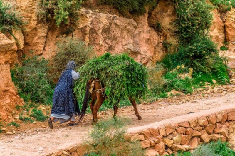 Atlas Mountains Waterfalls Day Trip and Desert Agafay - Imlil to Agafay Desert