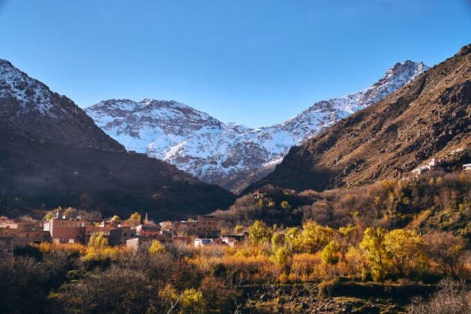 Atlas Mountains Waterfalls Day Trip and Desert Agafay - Local Market Exploration