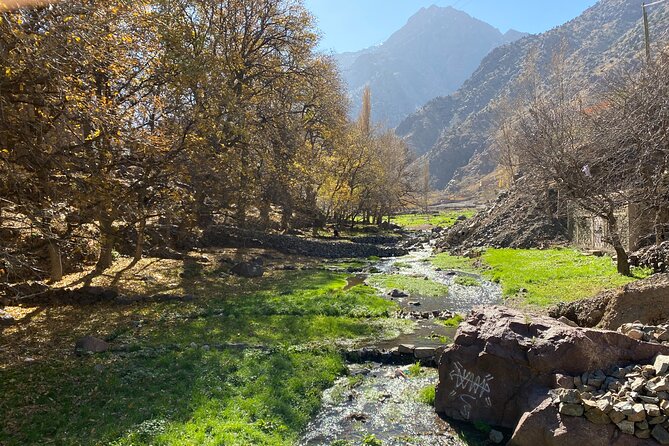 Atlas Private Day Tour and Berber Experience - Berber Village Experience