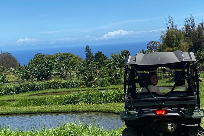 ATV 4WD UTV Scenic Guided Tour Near Waipio Valley and Kona - Meeting and End Point