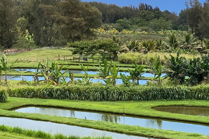 ATV 4WD UTV Scenic Guided Tour Near Waipio Valley and Kona - Additional Information