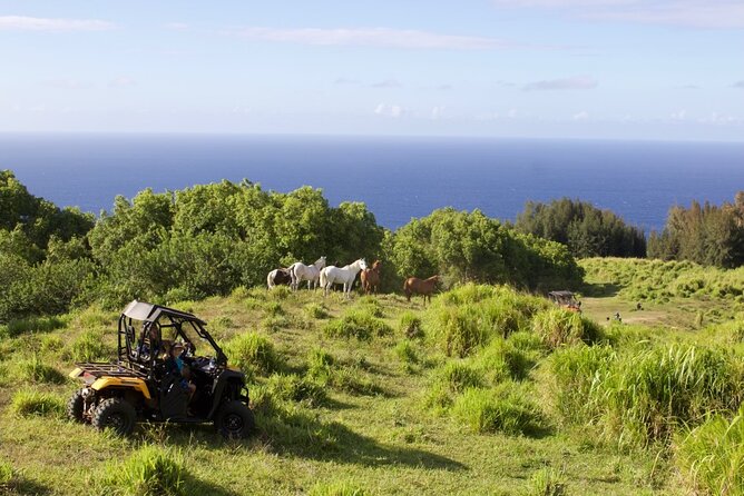 ATV 4WD UTV Scenic Guided Tour Near Waipio Valley and Kona - Exploring Waipio Valley
