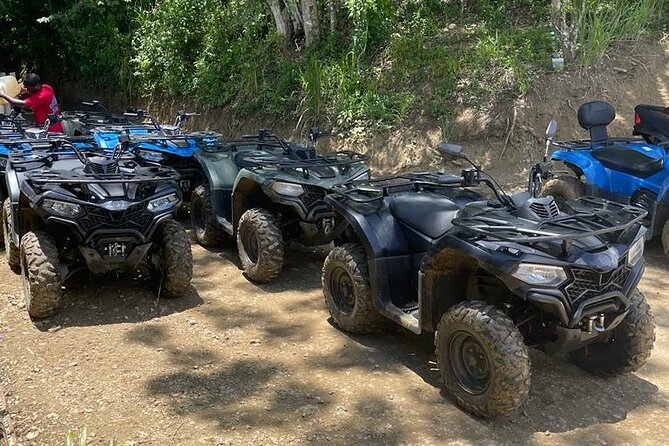 ATV Adventure and Margaritaville/Ricks Café Activity in Negril - About Your Stay