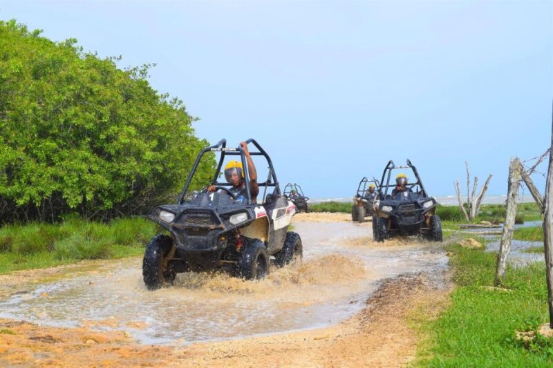 Atv Adventure and Ricks Cafe With Private Transportation - Booking Details