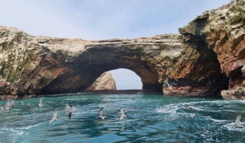 ATV Adventure Ballestas Island and Paracas National Reserve - Key Points