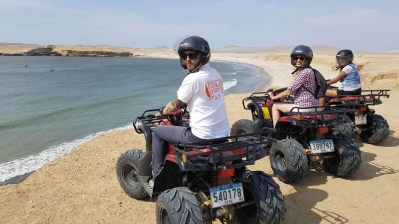 ATV Adventure Ballestas Island and Paracas National Reserve - Marine Fauna Observation