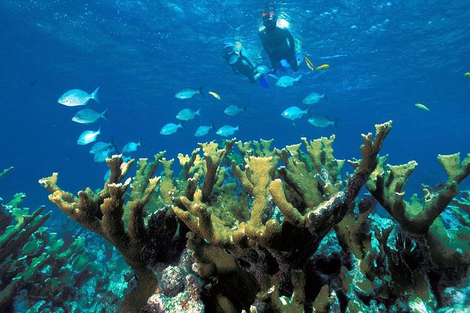 ATV Adventure Combo With Snorkeling, Ziplines, Cenote, and Lunch - Itinerary Details