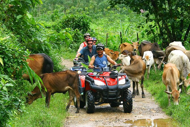 ATV Adventure in Puerto Rico El Yunque Rainforest - Exploring the Rainforest Terrain