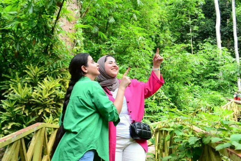 ATV Adventure Package 1 Hour Fun Ride in Langkawi - The Experience Provider: ALQADS SERVICES