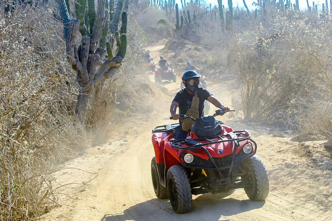 ATV and Camel Experience Los Cabos - Pickup Information