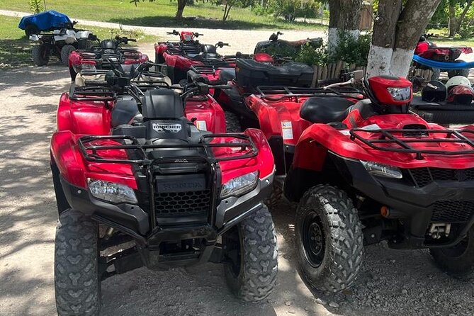 ATV and Horse Back Ridding From Montego Bay - Horseback Riding Adventure