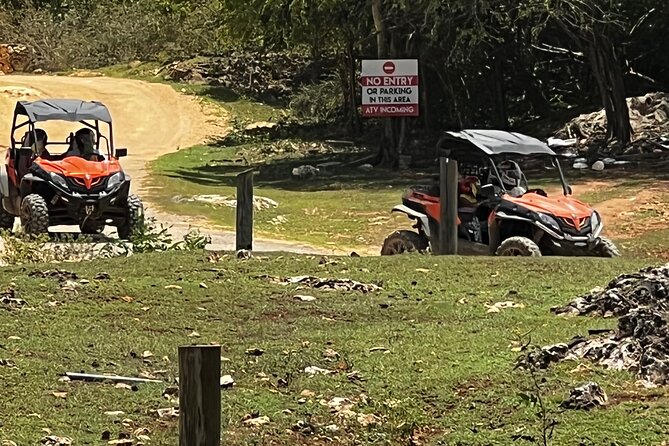 ATV and HORSE BACK RIDING (Beach) - Reviews and Ratings