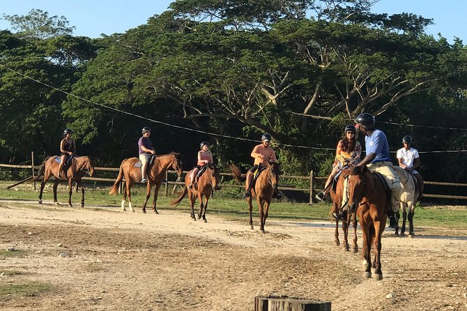 ATV and HORSE BACK RIDING (Beach) - What to Expect