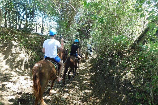 ATV and Horse Riding in Puerto Plata / Shore Excursion & Hotel - Exploring Puerto Plata