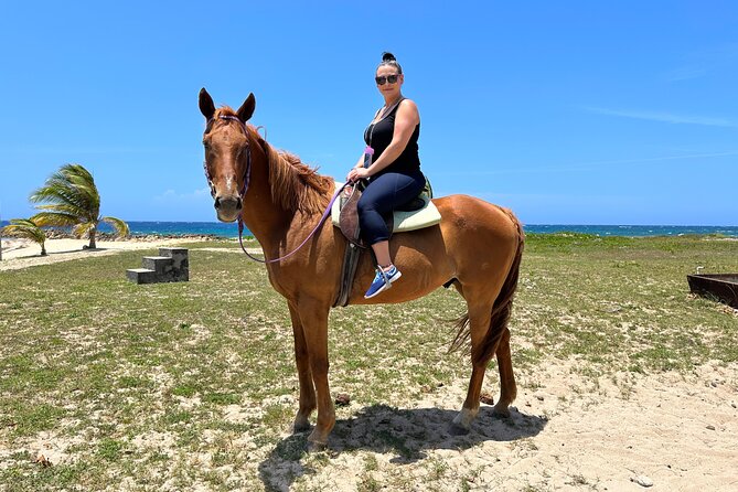 ATV and Horseback Ride N Swim Adventure Tour in Montego Bay - Whats Included