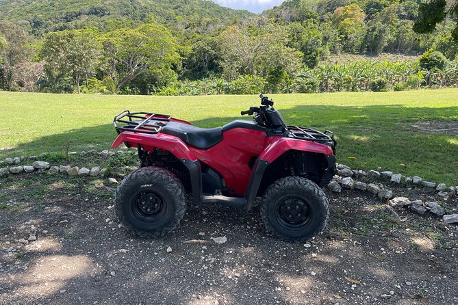 ATV and Horseback Ride N Swim Adventure Tour in Montego Bay - Pricing and Availability