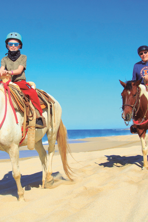 ATV Automatic 4X4 & Horseback Riding in Cabo by Cactus Tours - Pricing and Reservation