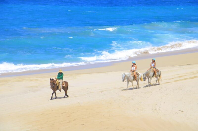 ATV Automatic 4X4 & Horseback Riding in Cabo by Cactus Tours - Inclusions and Exclusions