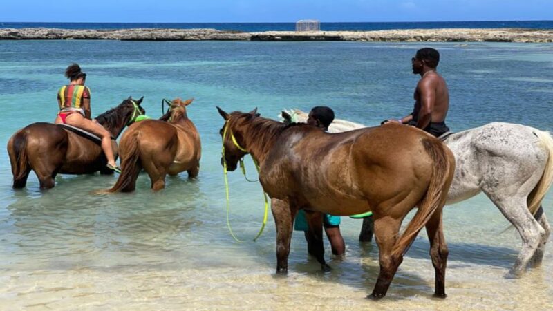 ATV, Bamboo Rafting & Horseback Ride Tour From Montego Bay - Restrictions