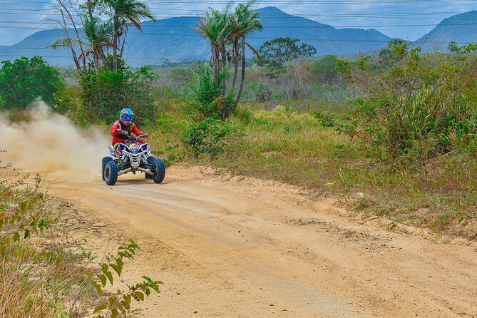 ATV Big Buddha Phuket Viewpoint - Highlights of the Tour