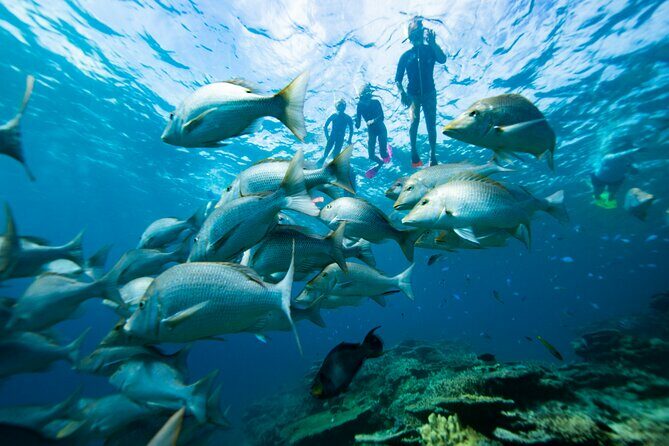 ATV Buggy Boat and Snorkel Beach Adventure Tour - What Travelers Can Expect
