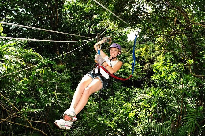 ATV & Canopy Tour From Flamingo Beach - Included Activities