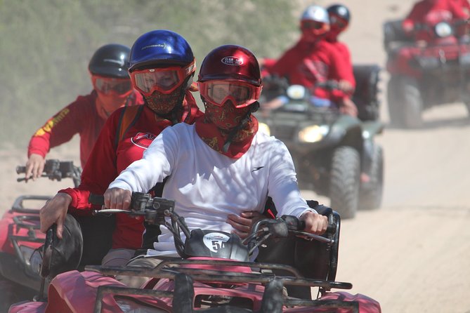ATV Desert & Beach Ride Over the Mountains and Through Migrino Beach! - Diverse Ecosystem Exploration