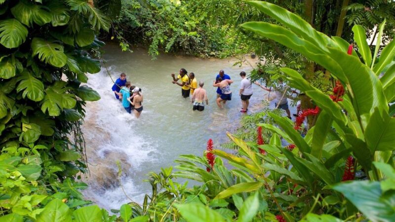 ATV, Dunn's River Falls & Catamaran Party Cruise &Snorkeling - Participant Guidelines