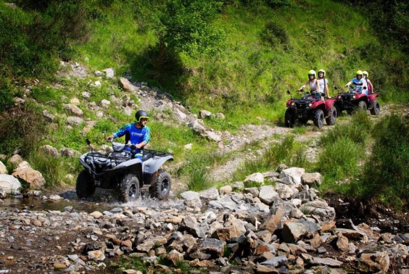 ATV Flowered Meadow Yamaha Kodiak 700 - Key Points