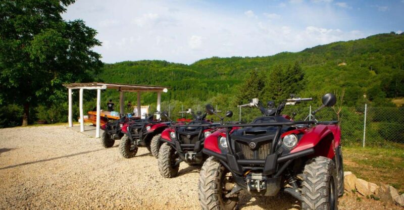 ATV Flowered Meadow Yamaha Kodiak 700 - Experience Highlights