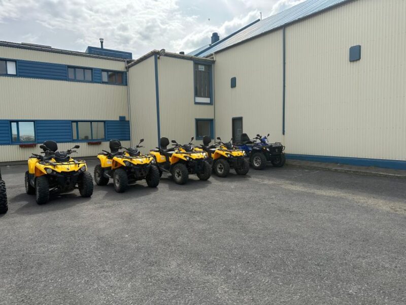 ATV Guided Trip Close to Dettifoss Iceland - Wildlife and Scenery