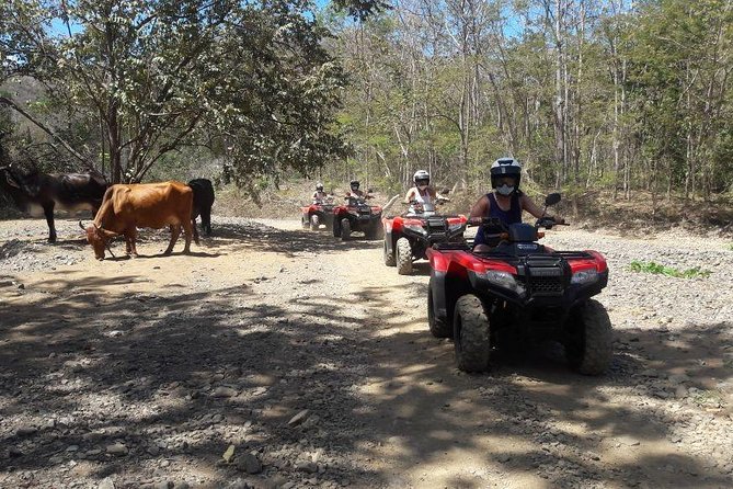 ATV Half Day Adventure From Riu and Papagayo - Accessibility and Restrictions