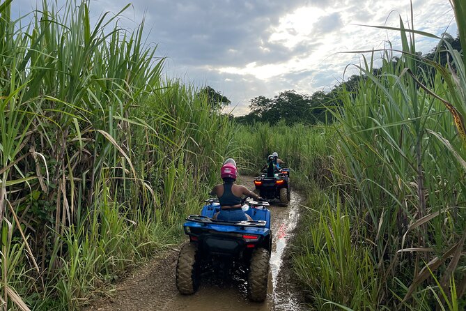 ATV Jungle Adventure - Experiencing Jamaican Cuisine