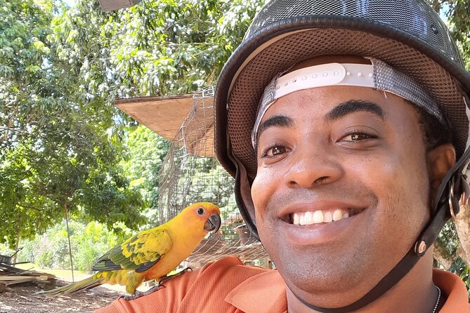 ATV Jungle Ride Adventure in Montego Bay With Transportation - Accessibility and Restrictions