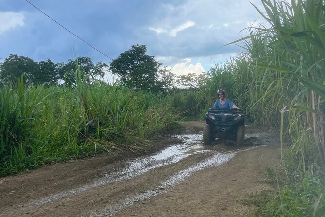 ATV Jungle Ride With Transportation From Montego Bay - Experience Highlights