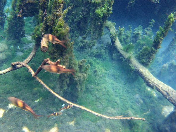 ATV & Kayaking in Hidden Freshwater Lagoon, Unseen Krabi Half Day Trip - Health and Safety Guidelines