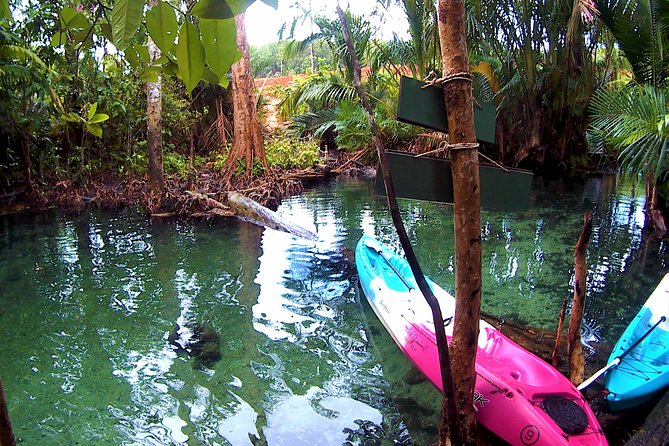 ATV & Kayaking in Hidden Freshwater Lagoon, Unseen Krabi Half Day Trip - Reviews and Feedback