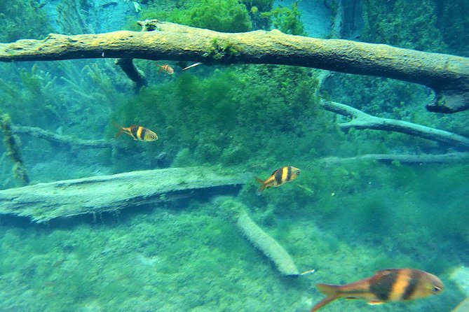 ATV & Kayaking in Hidden Freshwater Lagoon, Unseen Krabi Half Day Trip - Pricing and Cancellation Policy