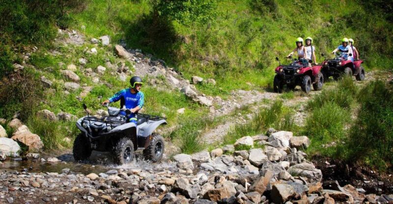 ATV Livizzano Yamaha Kodiak 700 - Inclusions