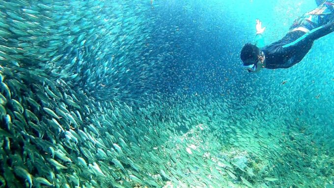 ATV, Mantayupan Falls & Pescador Island Hopping + Meals - Included Amenities