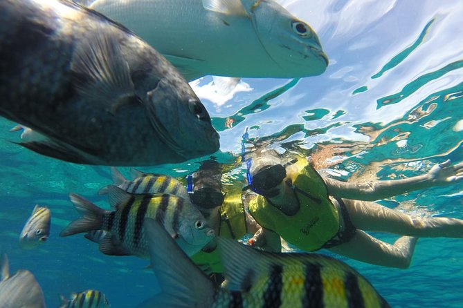 ATV Mud Kicking and Snorkeling by Boat in Cozumel - Mexican Lunch With Open Bar