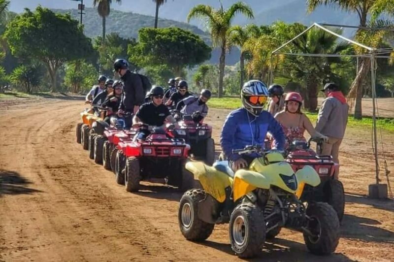 ATV Off Road Adventure Shore Excursion with Taco Stop - Why This Tour Works