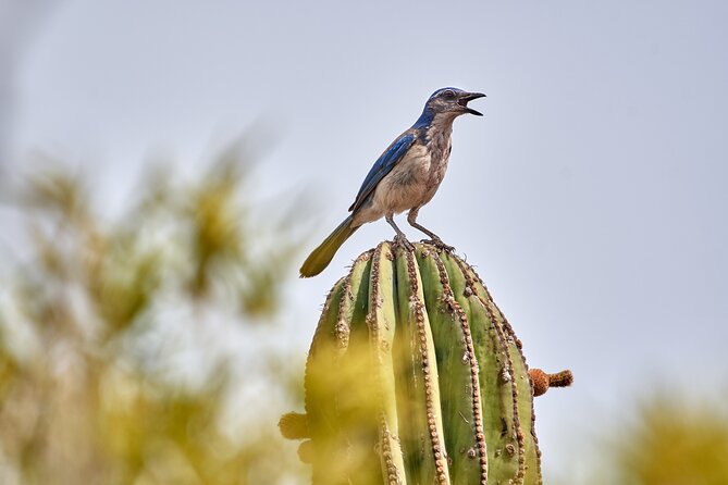 ATV Pacific Tour in Cabo San Lucas - Recommended Items to Bring