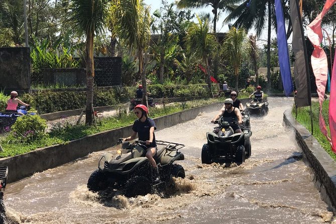 ATV Quad Bike and Swing In Ubud - Overview of the Activity