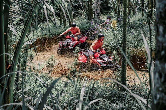 ATV Quad Bike Bali With Waterfall Gorilla Cave and Lunch - Participant Recommendations
