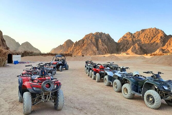 ATV Quad Bike Safari Adventure Tour And Camel Ride From Hurghada - Positive Feedback