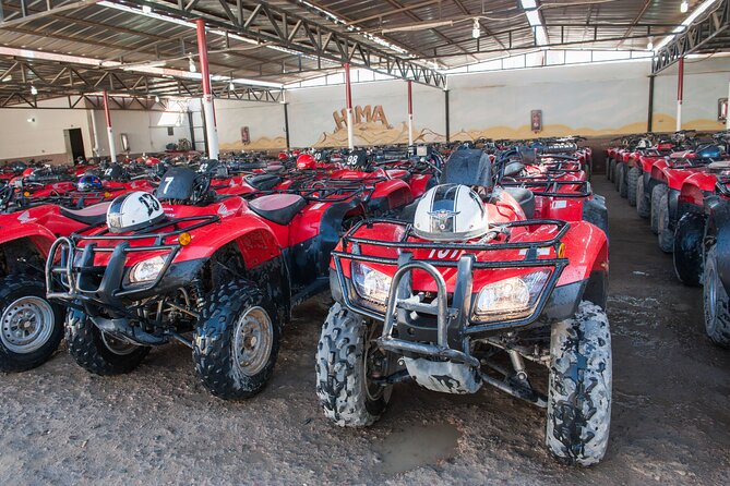 ATV Quad Safari Tour & Camel Ride Dinner and Show - Hurghada - Included Experiences