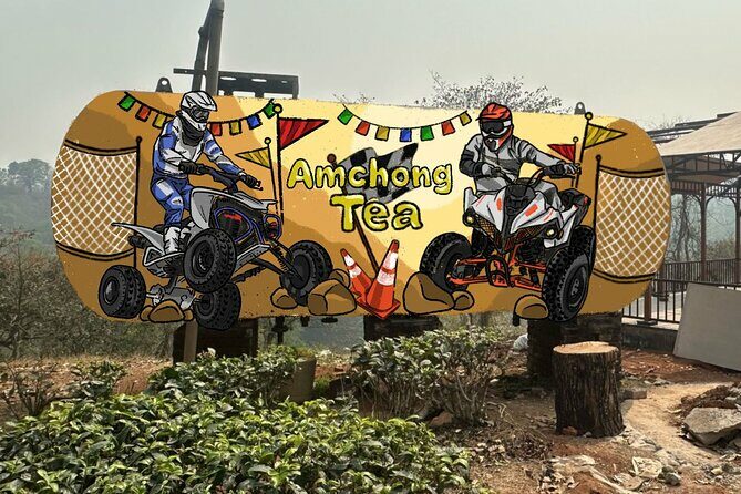 ATV RIDE at Amchong Tea Estate - Reviews and Real Experiences