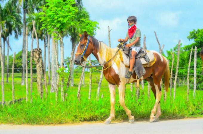 ATV Ride Cenote, Chocolate, Coffee Tasting & Horse Back Ride - Accessibility and Suitability