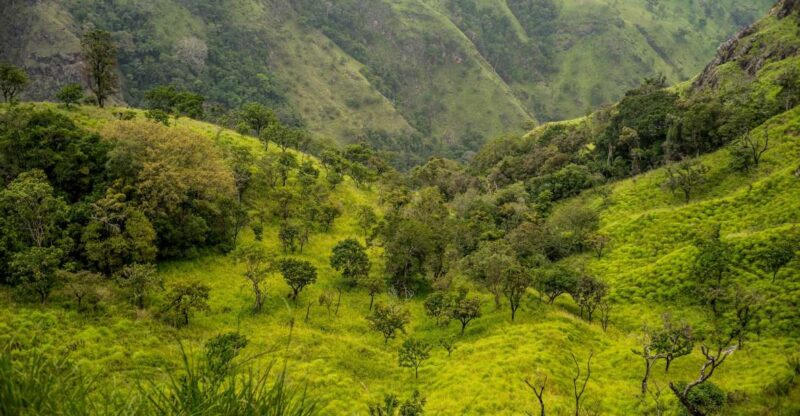 ATV Ride in Ella - Key Points